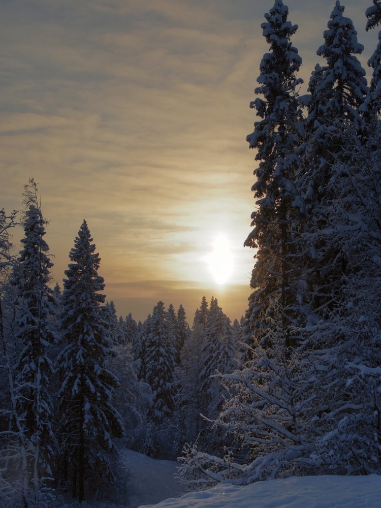 Photograph by Алексей Долженко