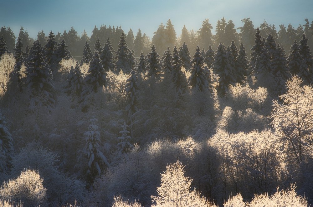 Photograph by Алексей Долженко