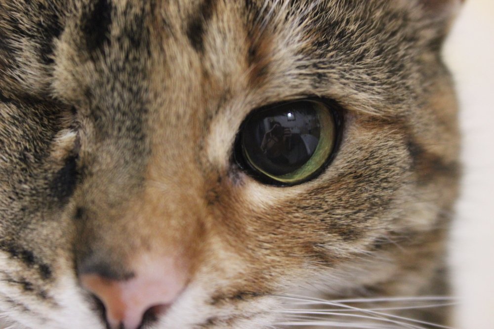 Photograph by Юлия