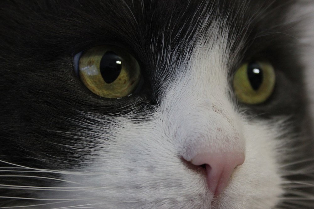 Photograph by Юлия