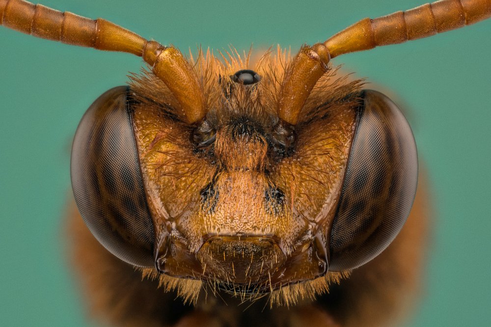 Photograph by Mahdi Sarikhani