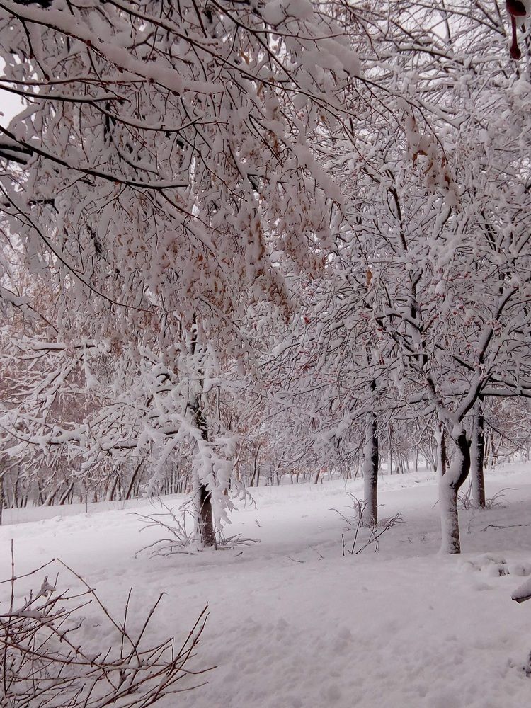 Photograph by Вероника Косян