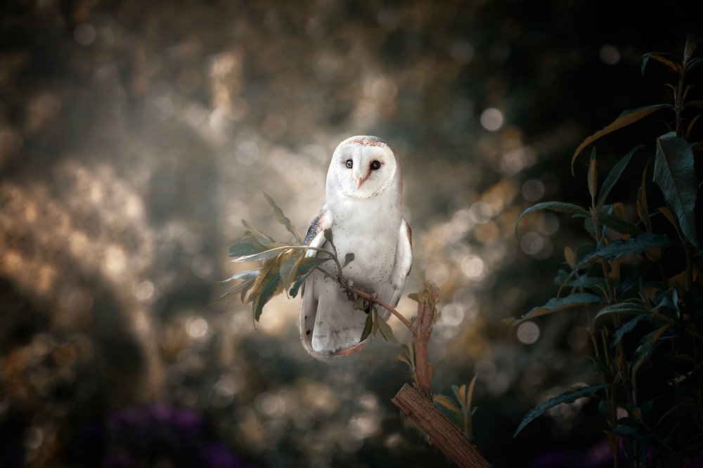 Photograph by Anna Grieta Freimane