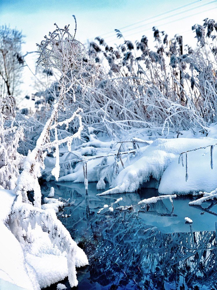 Photograph by Anastasia Malysh