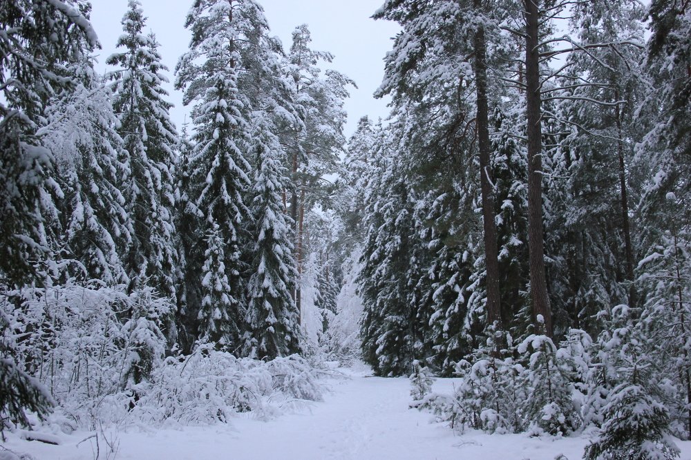 Photograph by Юлия