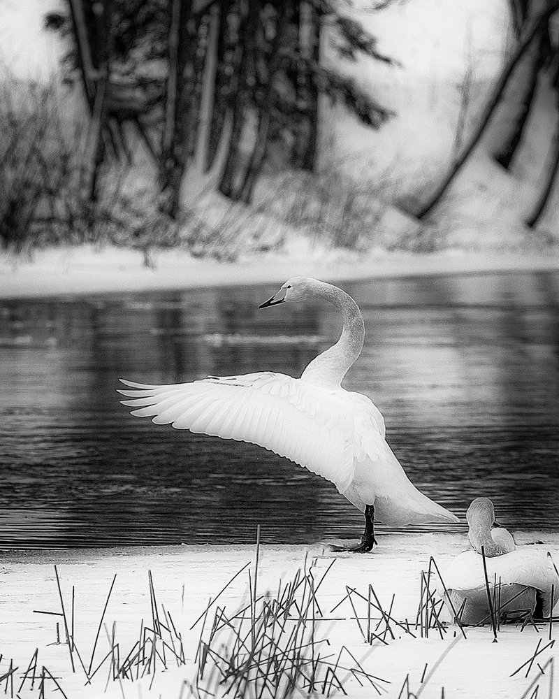 Photograph by Anna Sindikayeva