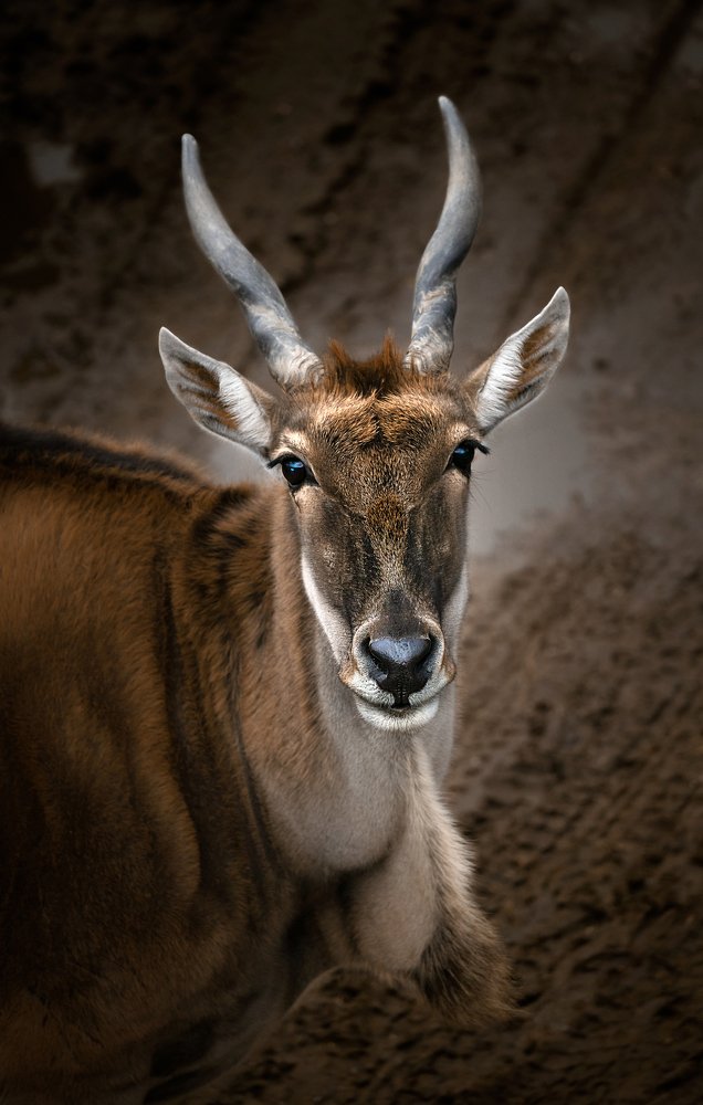 Photograph by Anna Grieta Freimane