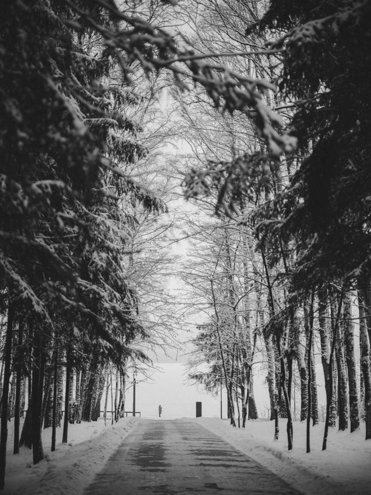 Photograph by Игорь Лобанов