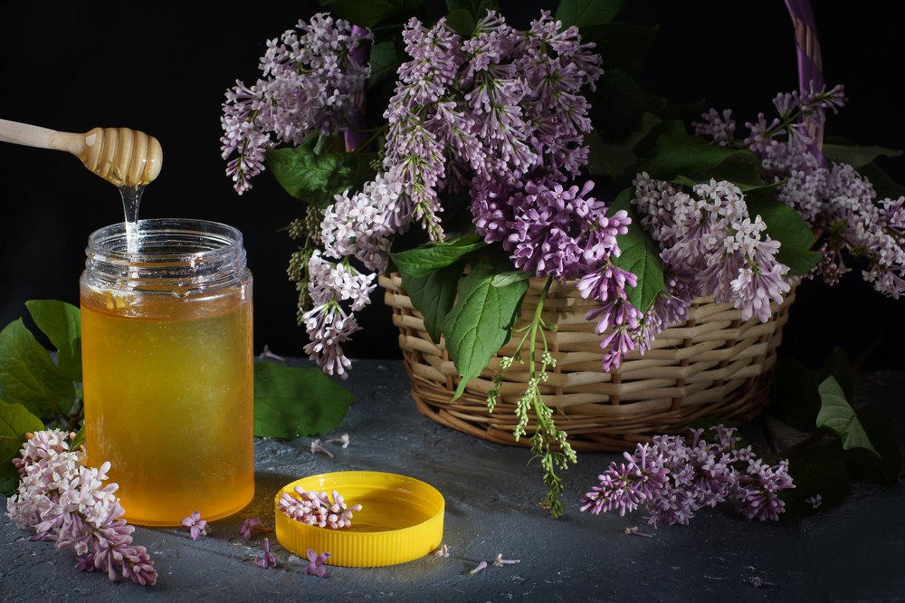 Photograph by Елена