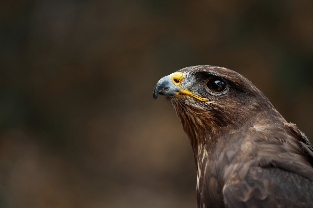 Photograph by Anna Grieta Freimane