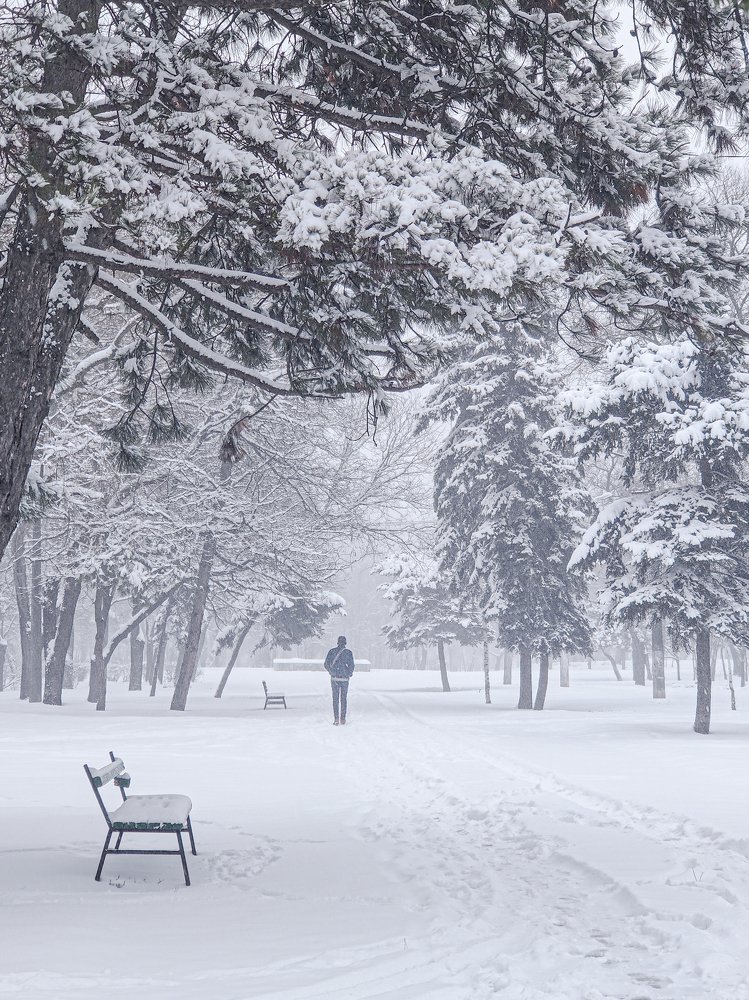 Photograph by Дарья Прусс