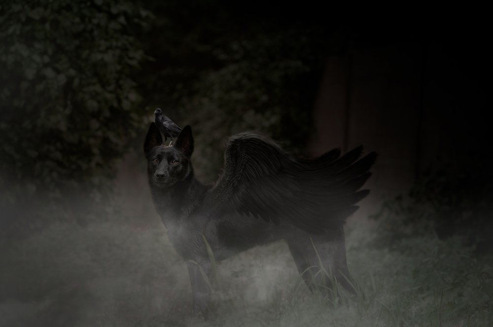 Photograph by Anna Grieta Freimane