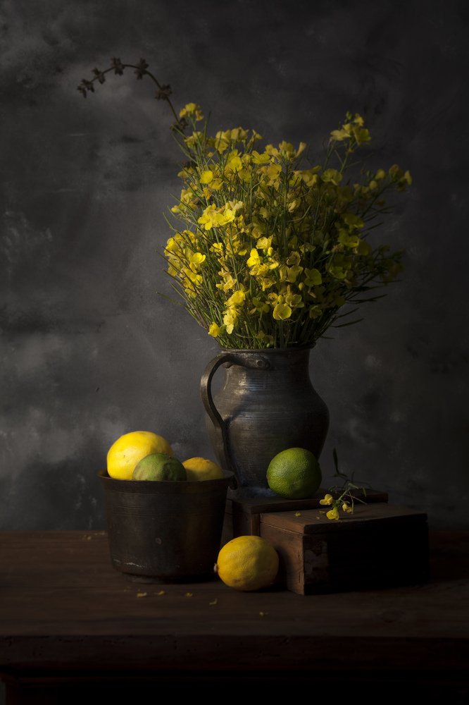 Фотография автора Ramiz Şahin