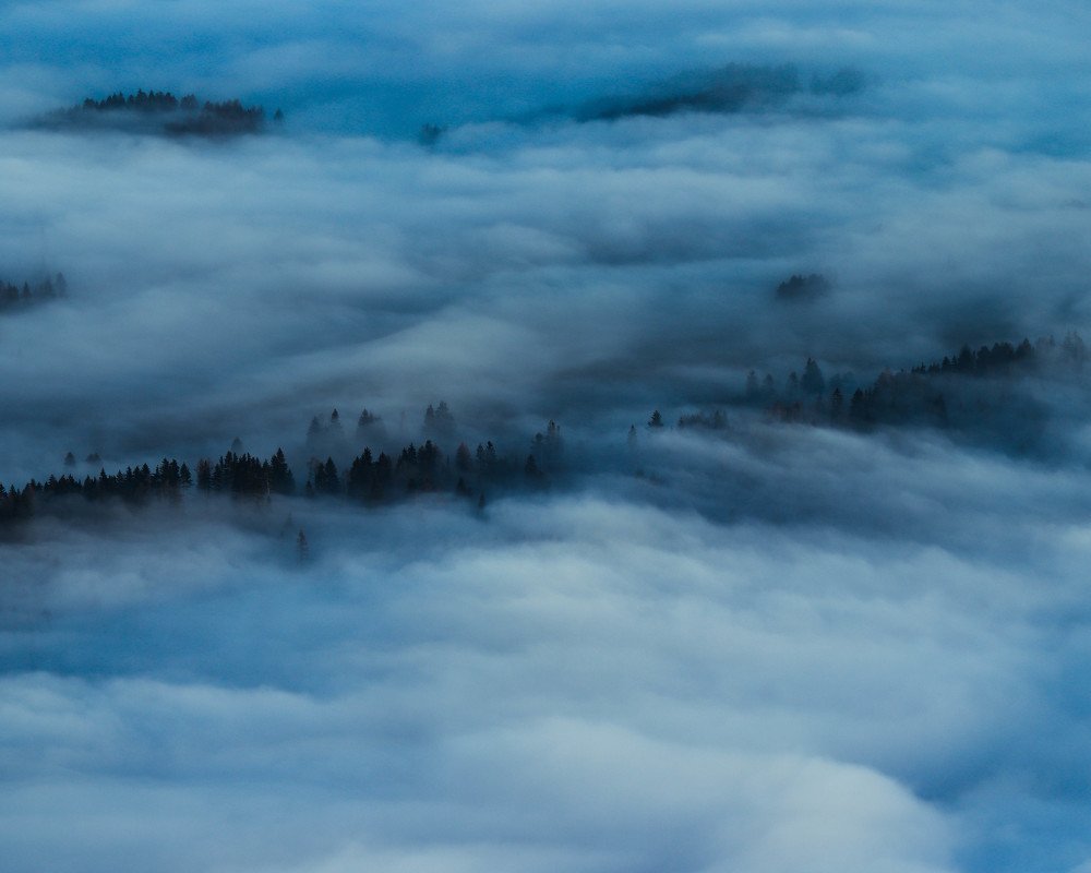 Photograph by Melich Samuel