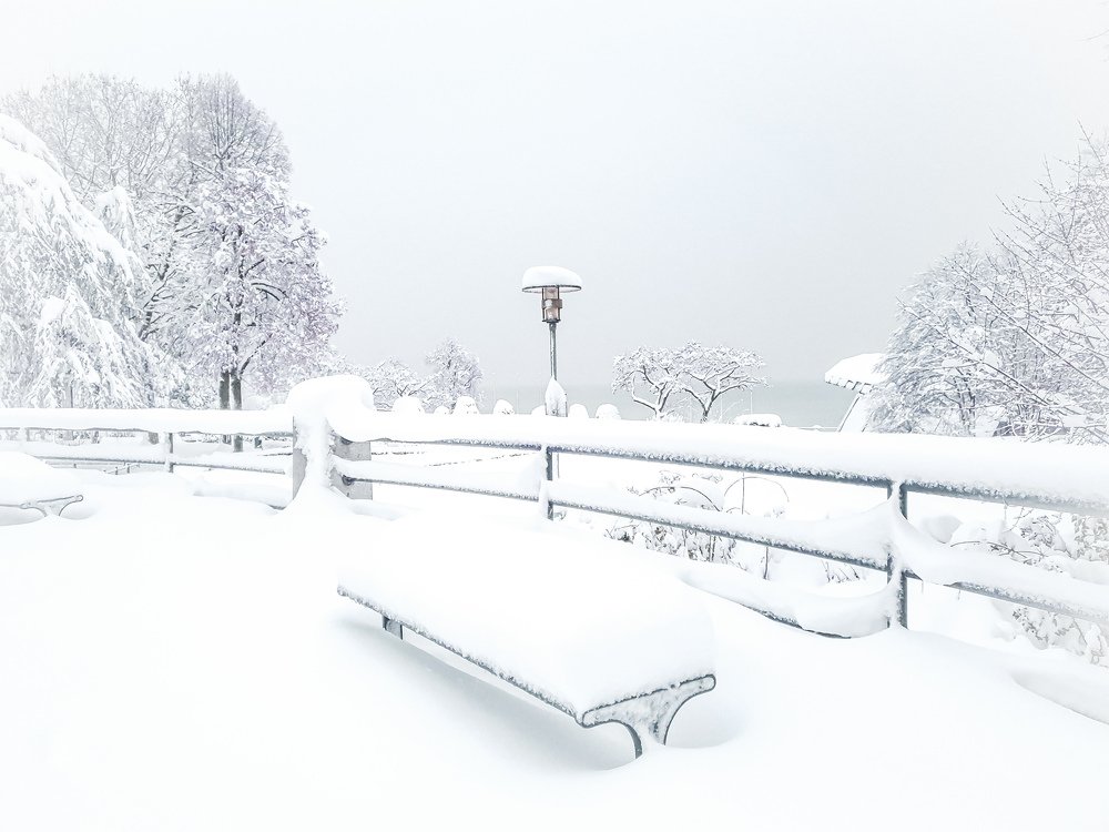 Photograph by Schewzow Lana