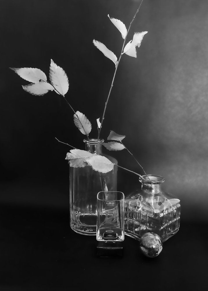 Photograph by Alla Shapochnik