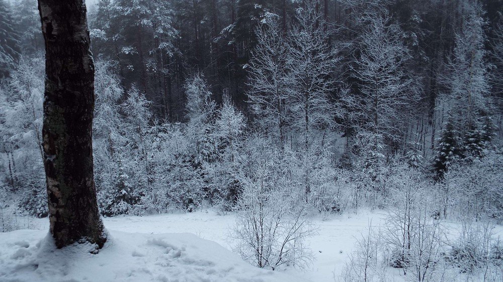 Photograph by Ирина Кузьмина