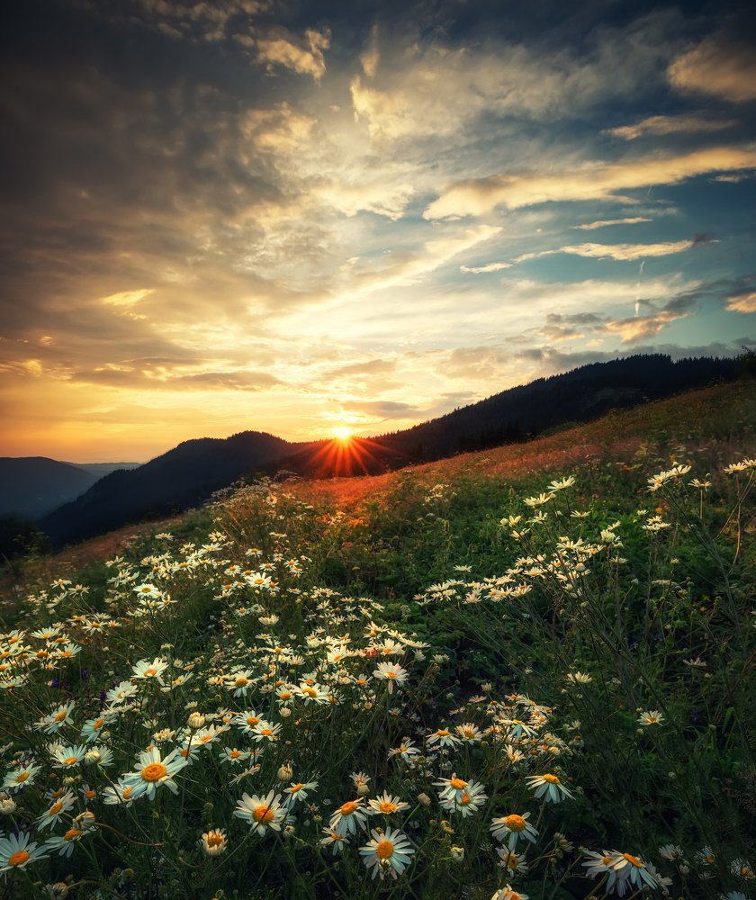 Photograph by Костадин Маджаров