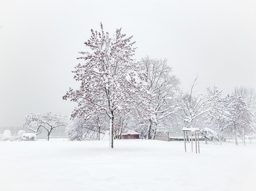 Photograph by Schewzow Lana