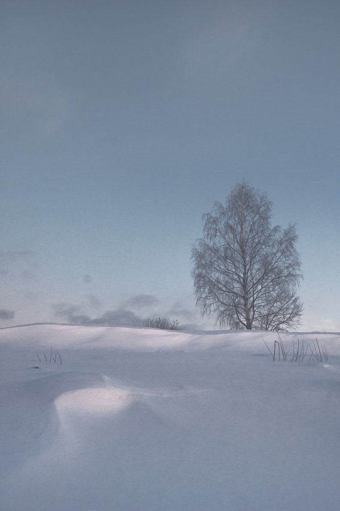 Photograph by Aliaksei Shandalin