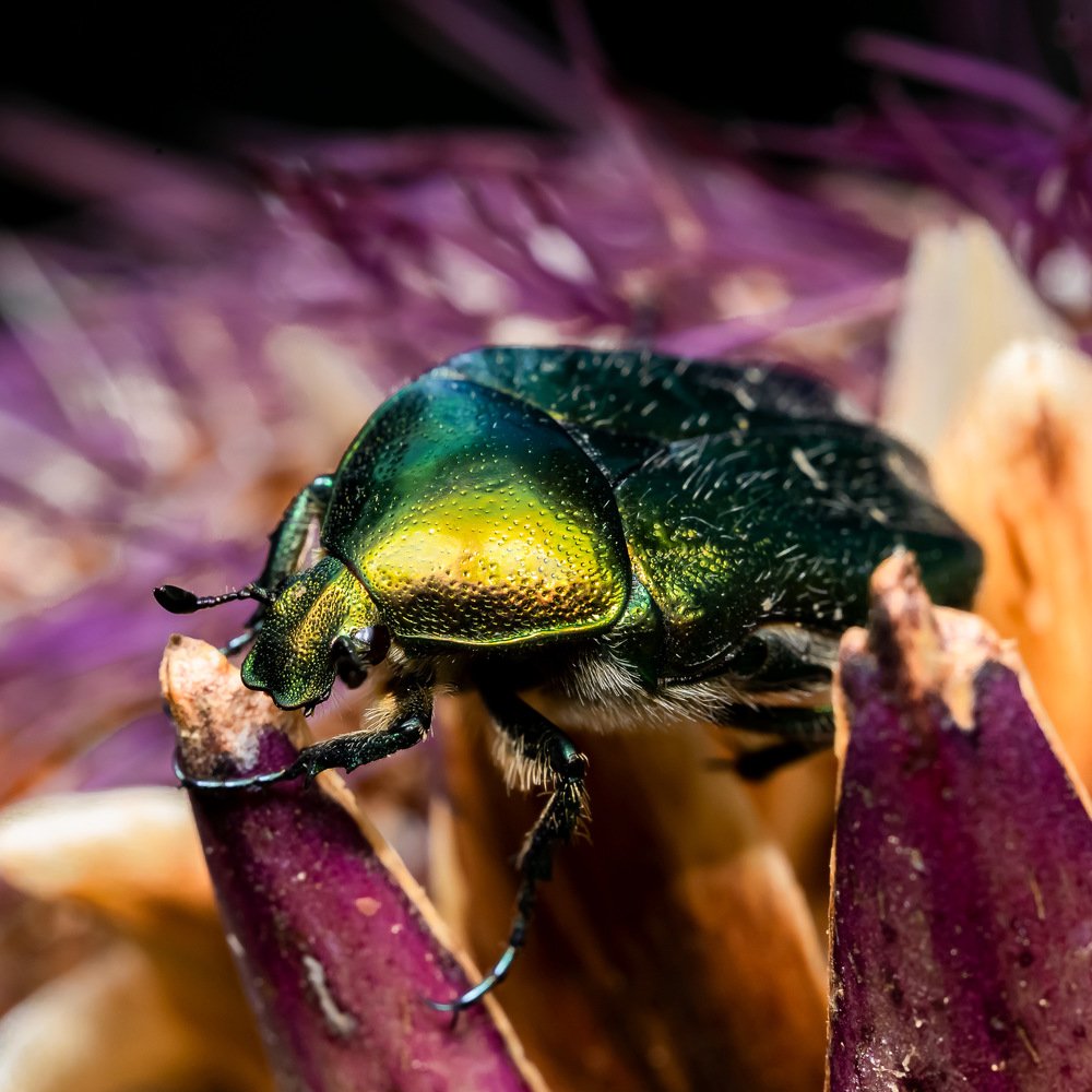 Фотография автора Dolli Pogrebnaya