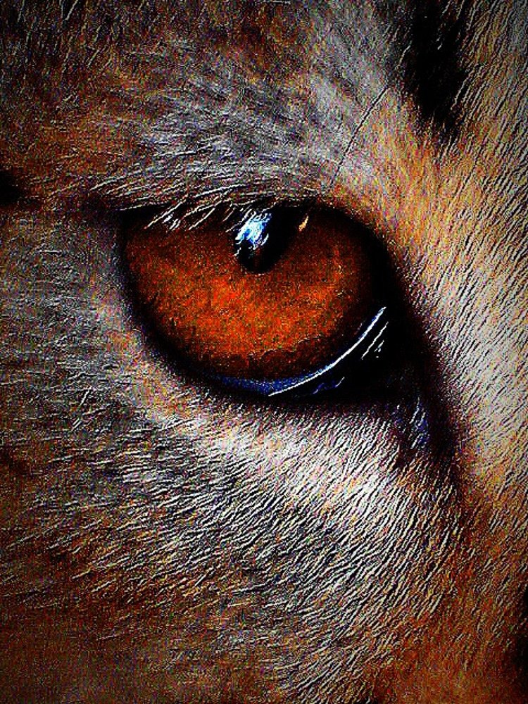 Photograph by Kapil Singh