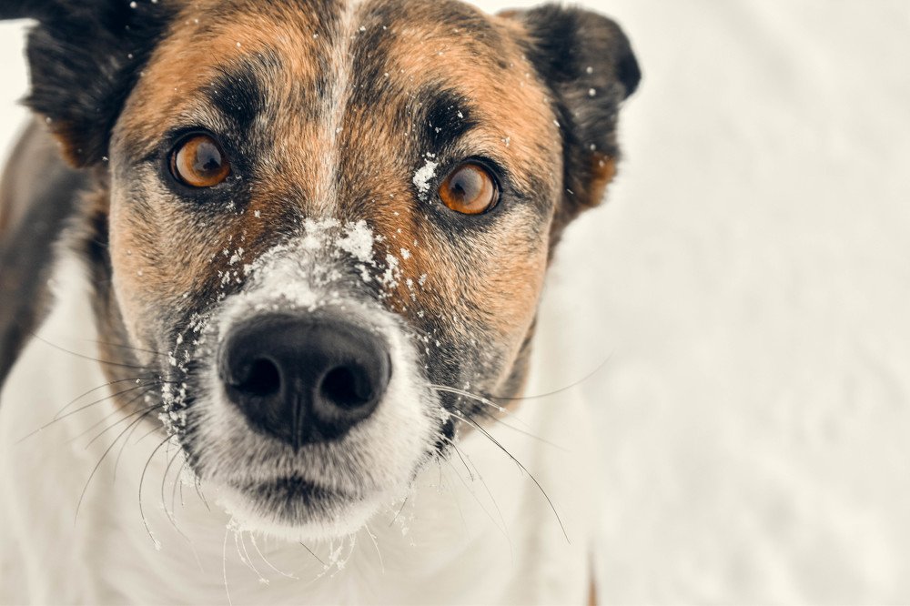 Photograph by Татьяна Носкович