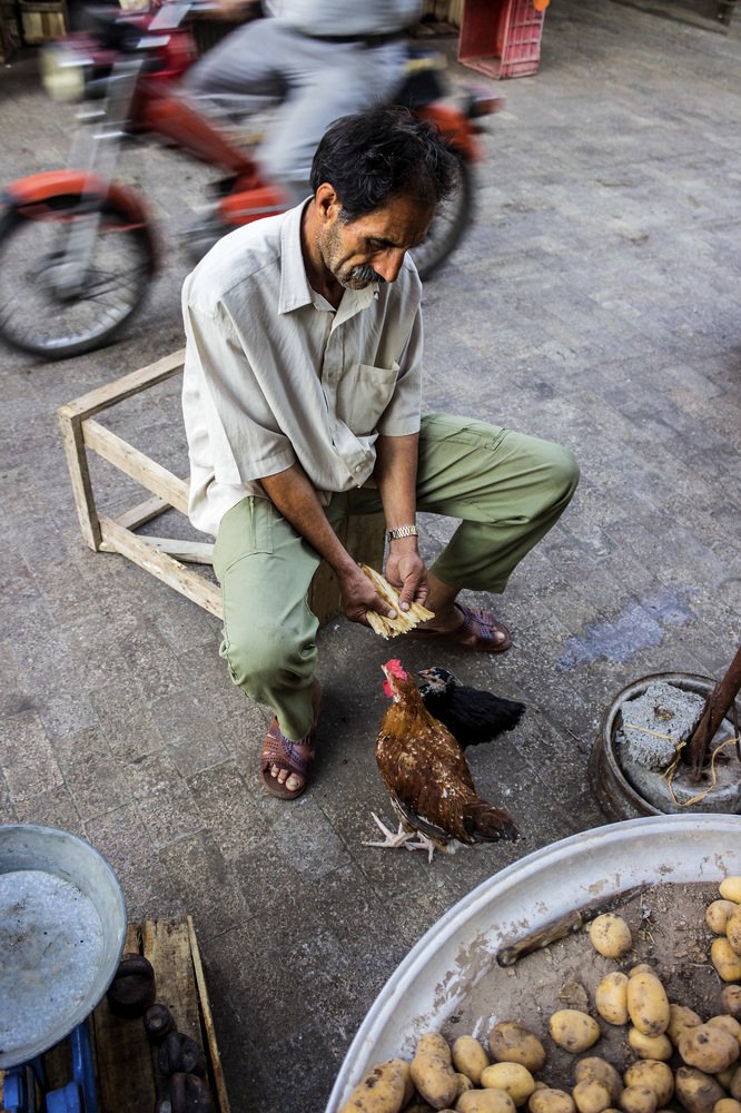 Photograph by Amir Behroozi