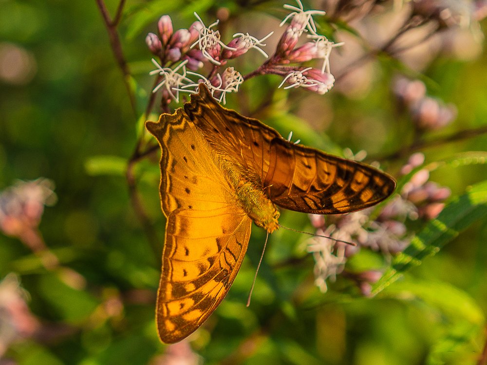 Photograph by Ja Flup