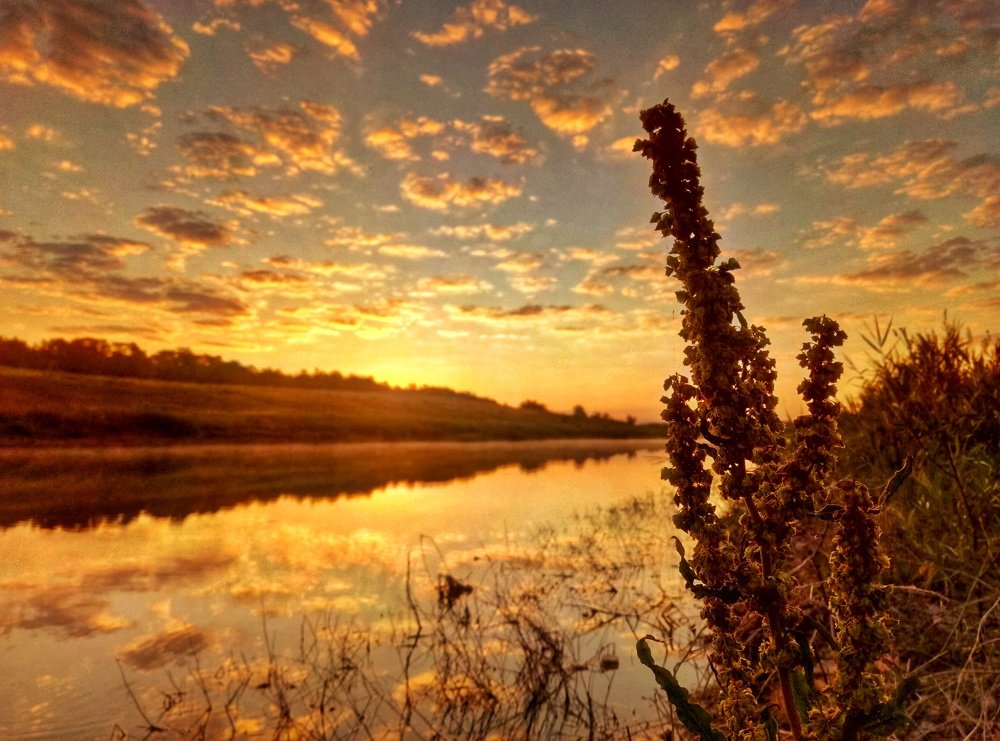 Пробуждение