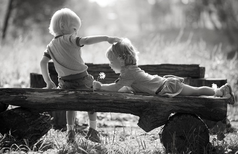 Photograph by Постонен Екатерина