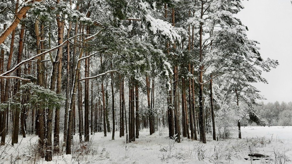 Photograph by Марийона Савоненко