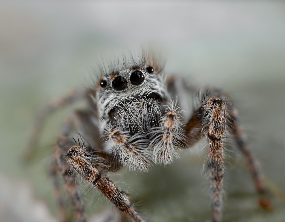 Фотография автора Dolli Pogrebnaya