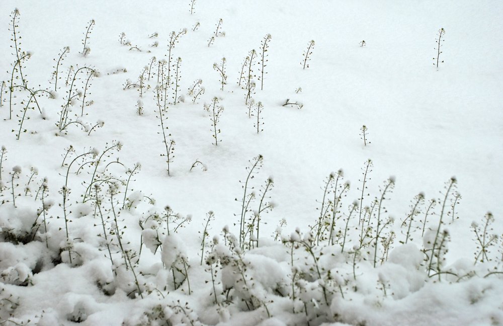 Photograph by Gordana Nikolovska-Dimeska