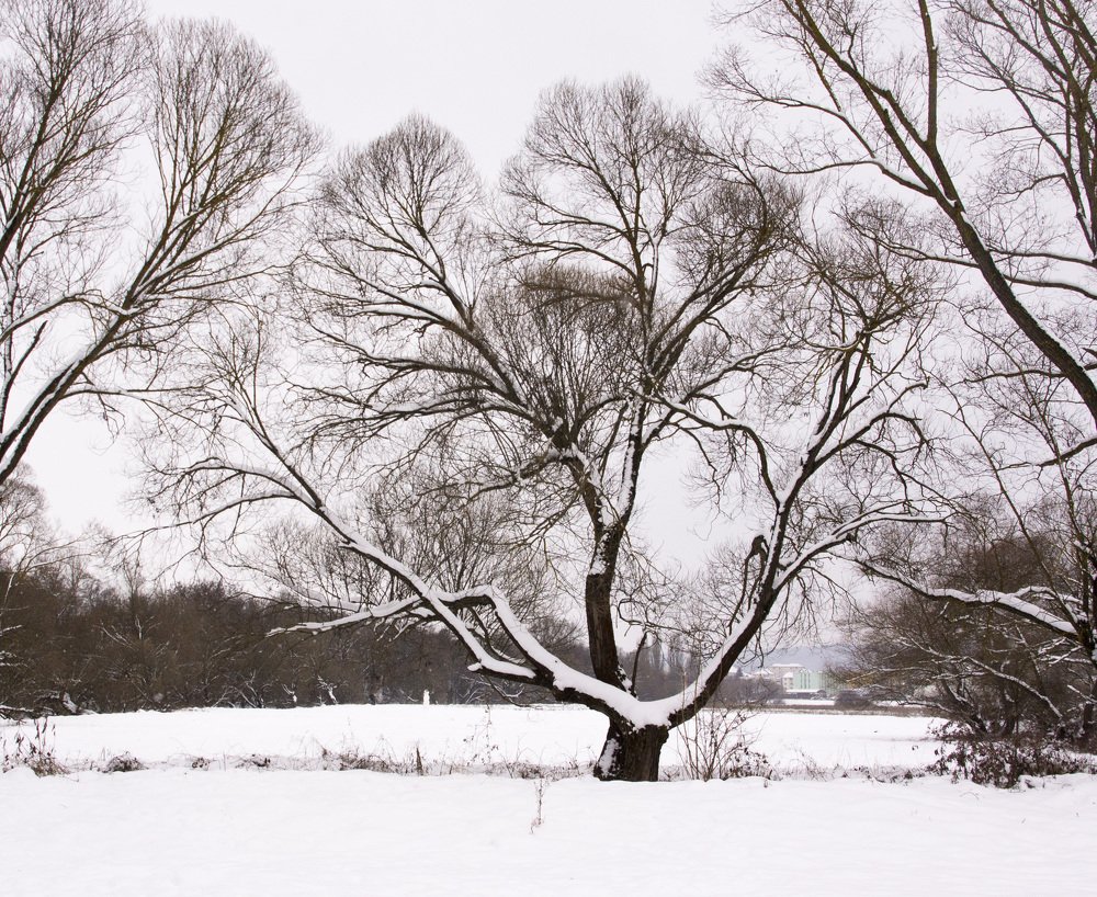 Photograph by Toth Csongor