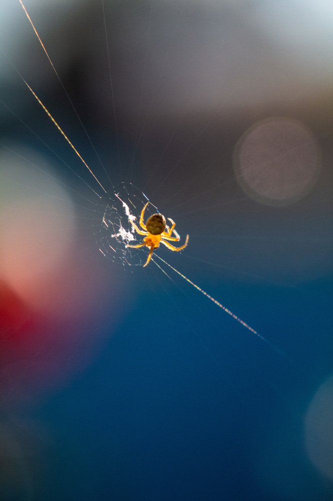 Keeping warm in the sun... (Согреться на солнце)