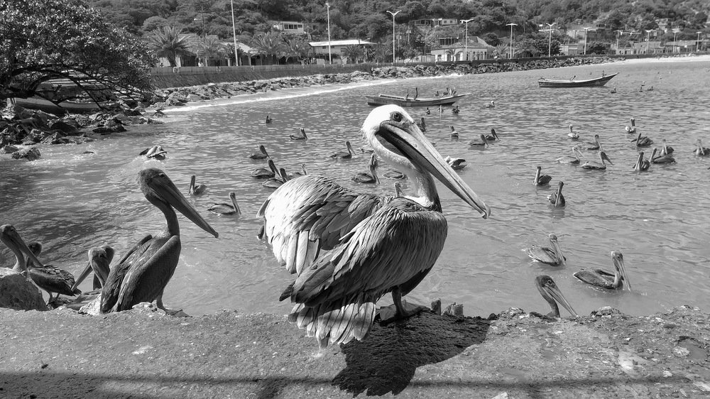 Photograph by Walter Marquina