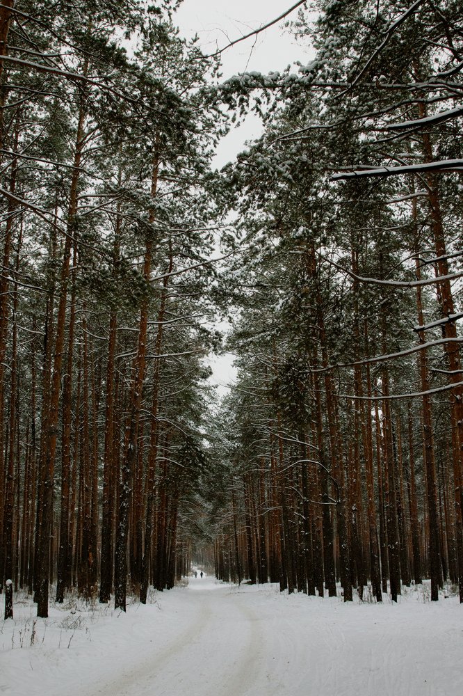 Photograph by Ангелина Карелина