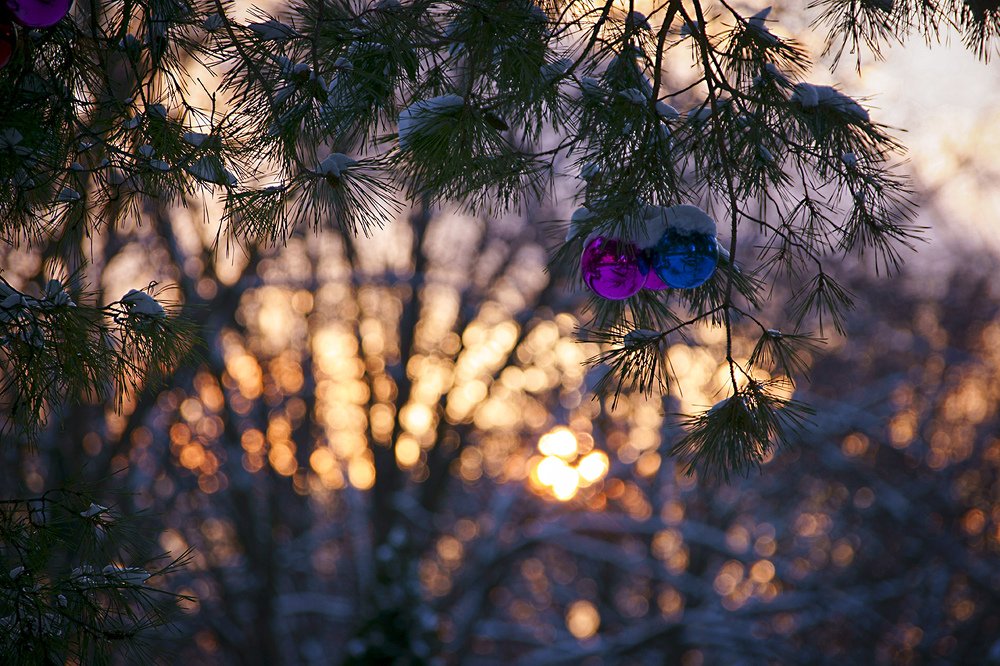 Photograph by Марина Соколова