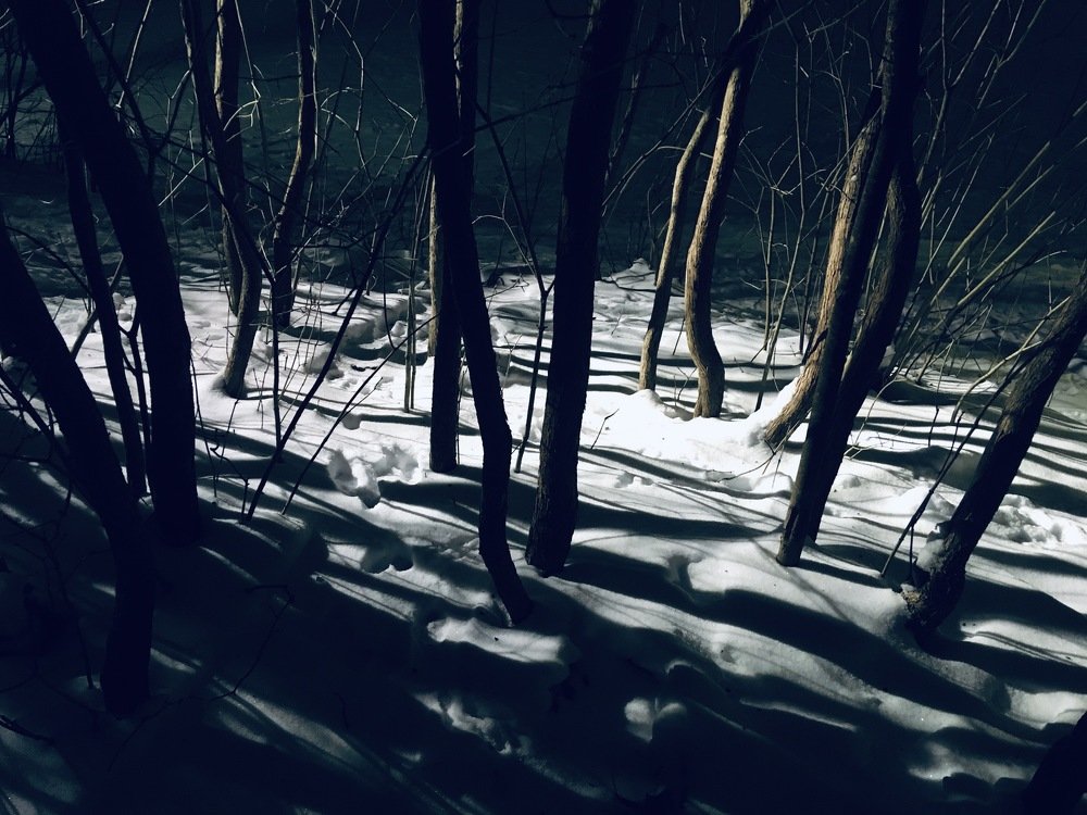 Photograph by Екатерина Мосолова