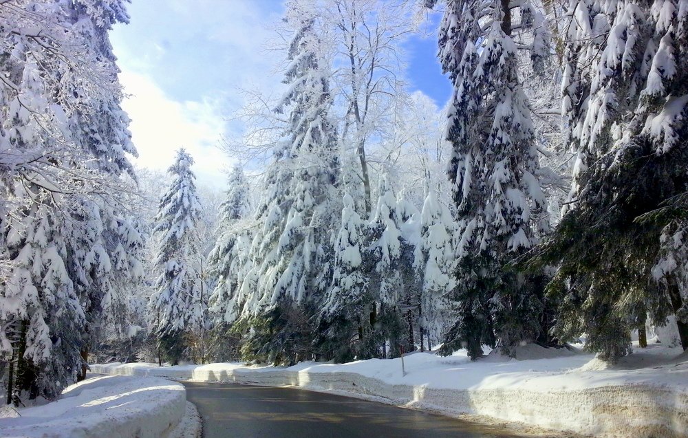 Photograph by Emil Zivanov