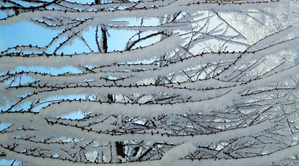 Photograph by Emil Zivanov