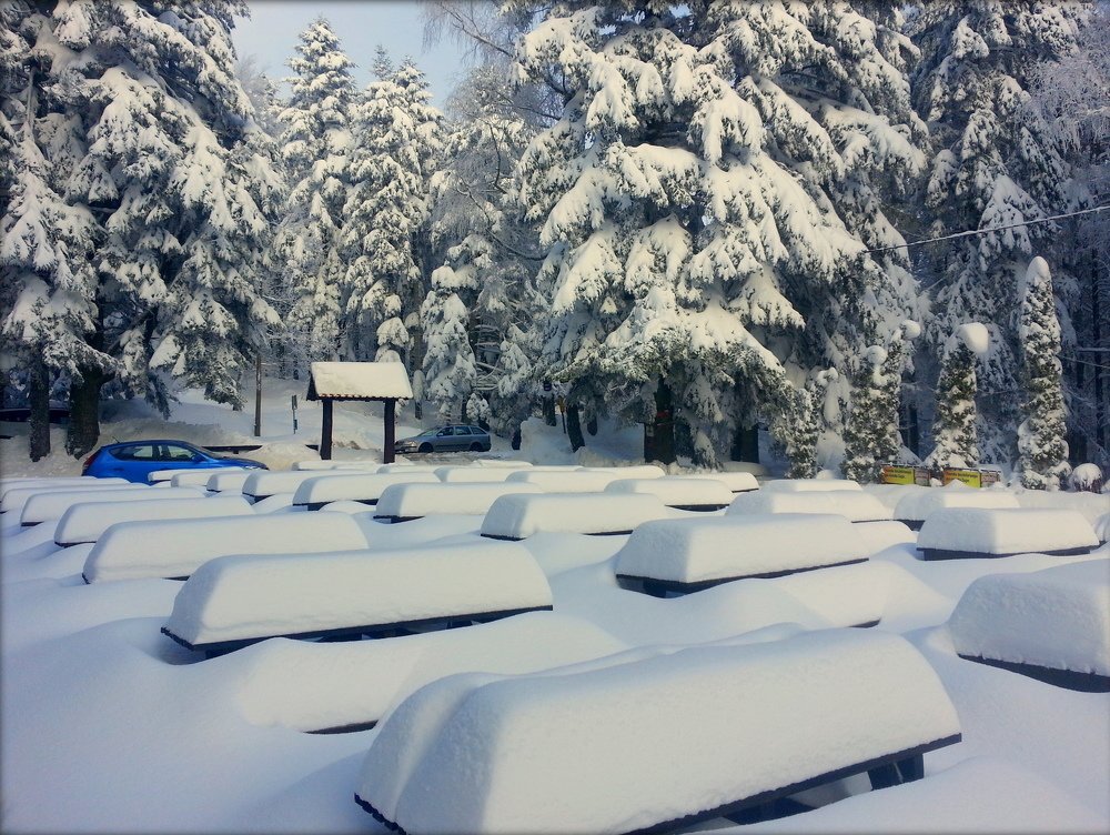 Photograph by Emil Zivanov