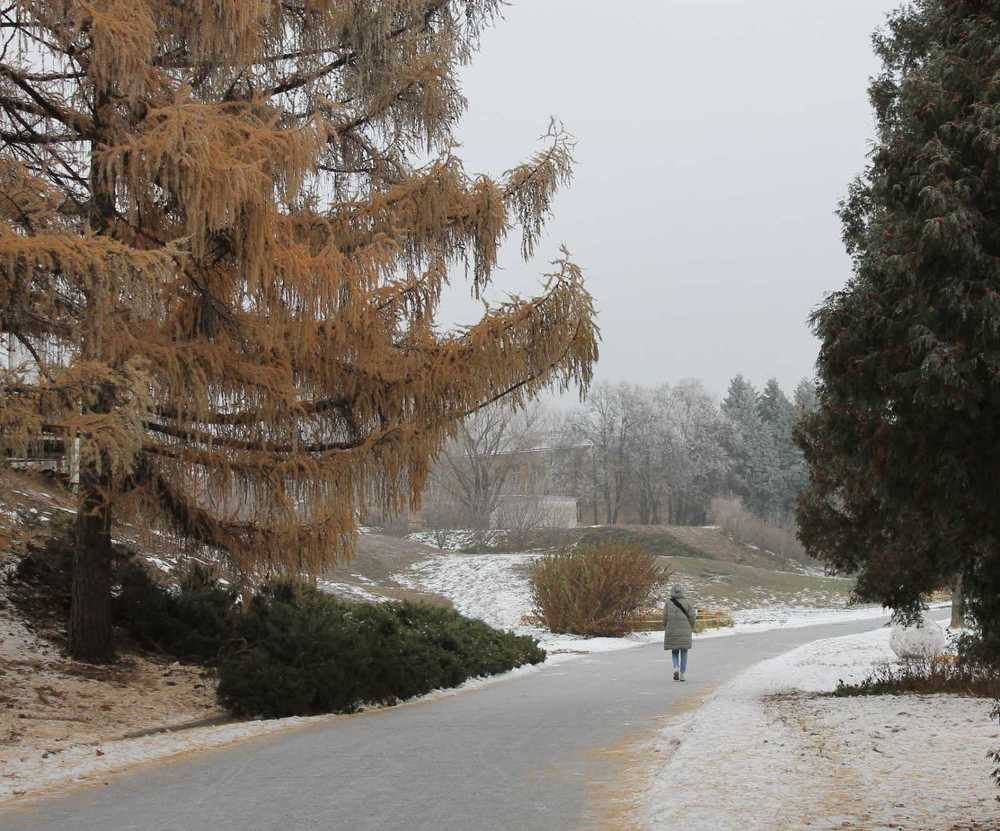 Фотография автора Алла Черноморская