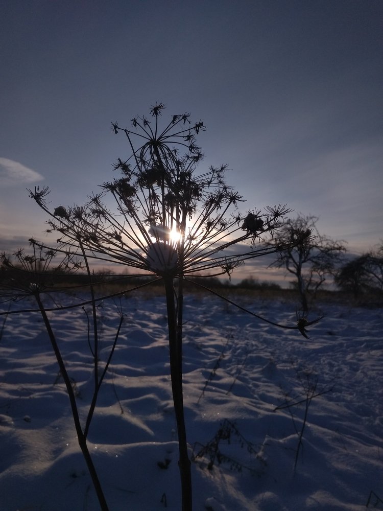 Photograph by Sergei Astashov