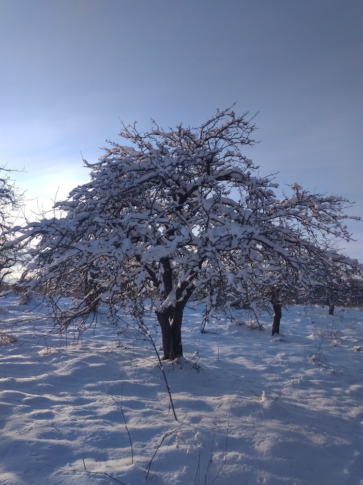 Photograph by Sergei Astashov