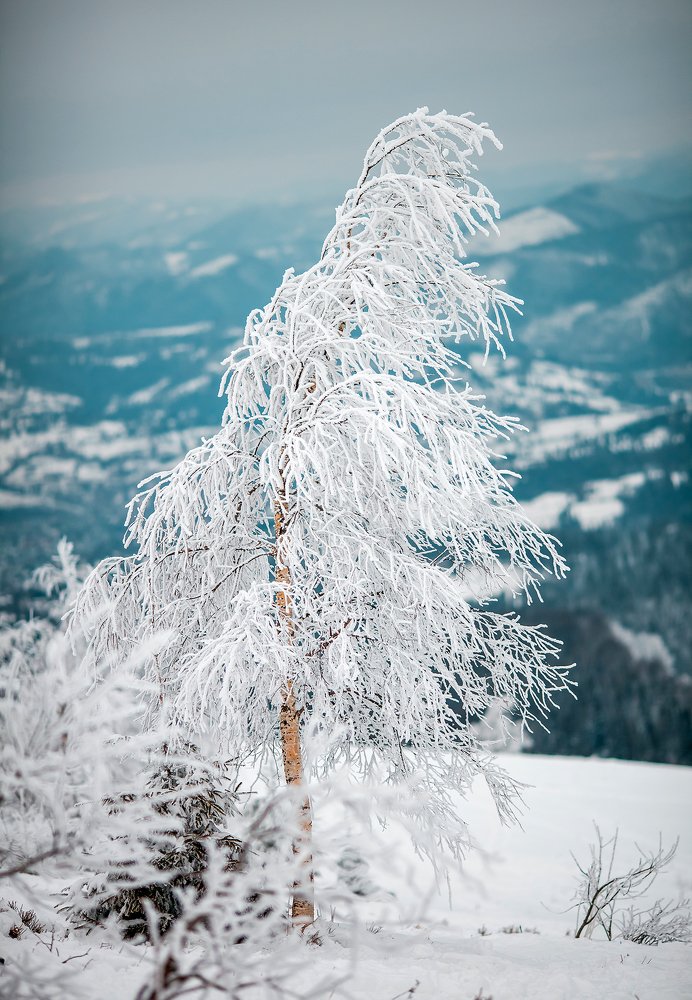 Photograph by Ліля Гуцол