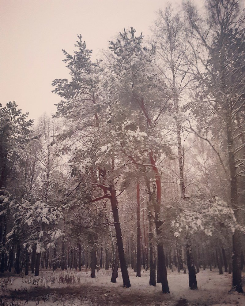 Photograph by Любовь Онщенко