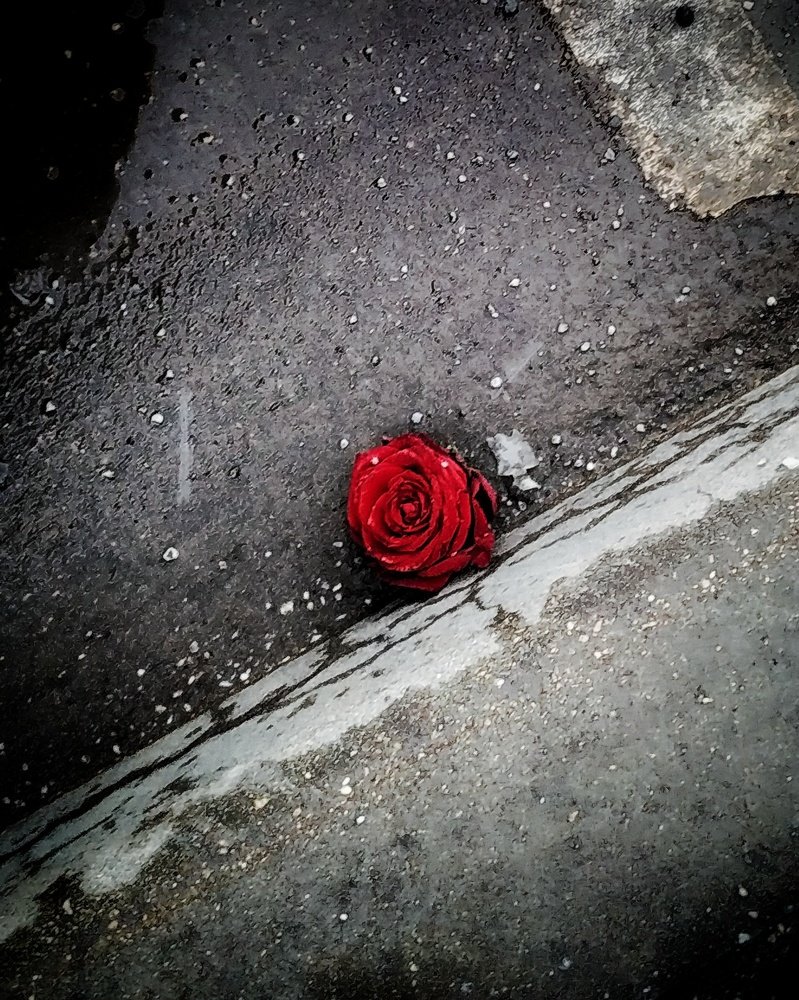 Photograph by Пастен