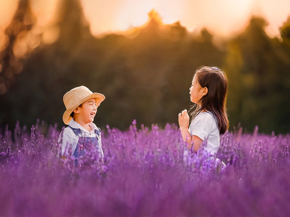 Lavender Field
